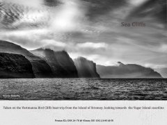Sea Cliffs.jpg